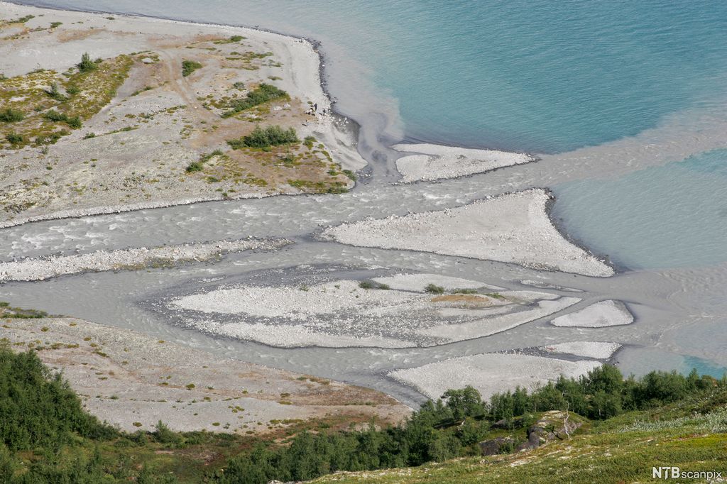 Elvedelta dannet av sedimenter som er avsatt ved overgangen fra elv til innsjø. Foto.