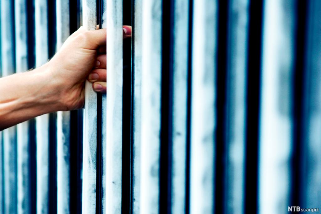 Ei hand held fast i ei stang i eit gjerde. Foto. 