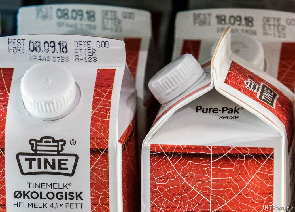 Nærbilde av toppen av fire melkekartonger. Foto.