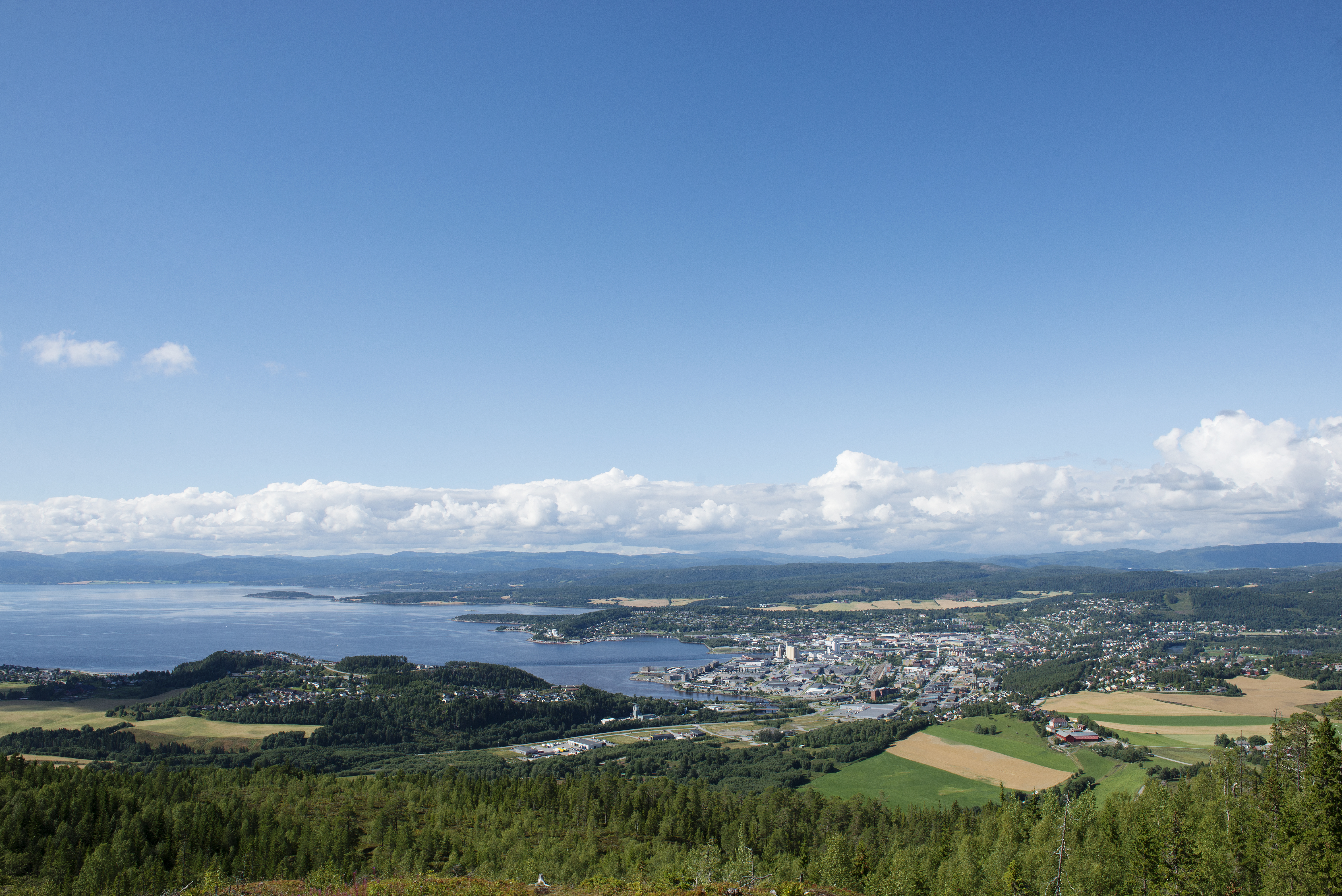 Oversiktsbilete med fjord og eit lite byområde inst i fjorden. Åkrar og skog rundt. Foto. 