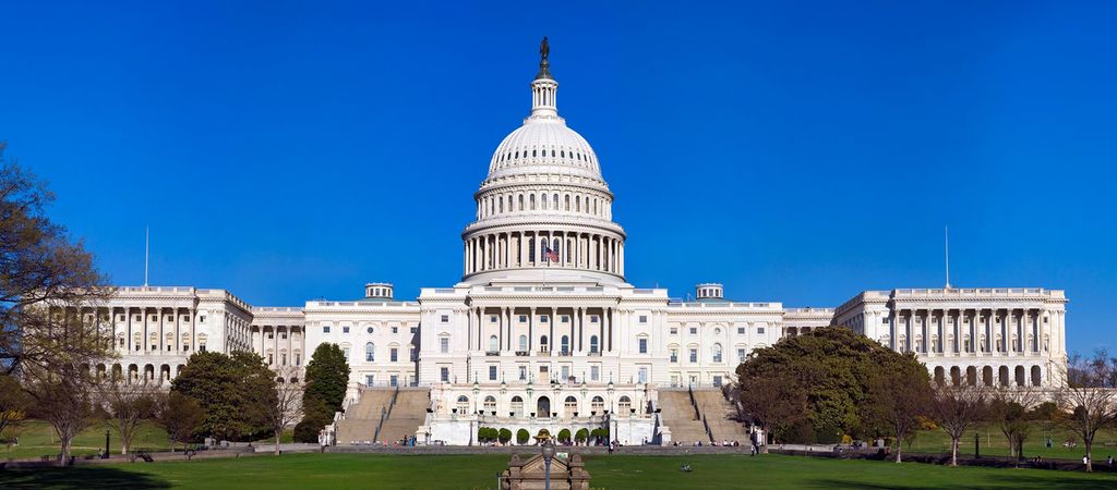 The US Capitol building in Washington D.C.