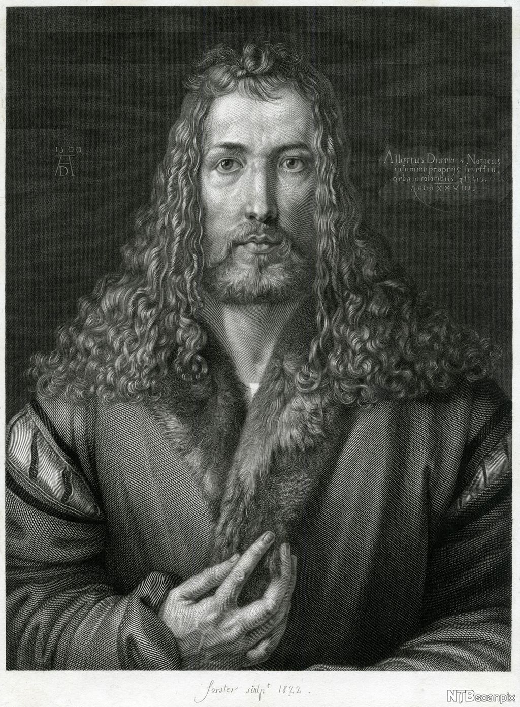 Selvportrett av Albrecht Dürer. Han har skulderlange lokker, en kort, liten lugg og skjegg. Nesa er lang, smal og rett, munnen er ganske liten. Han er kledd i ei jakke med pelskrage. I øvre venstre del av bildet står initialene AD og årstallet 1500. I øvre høyre del står en tekst på latin som informerer om at Dürer var 28 år da dette portrettet blei malt. 
