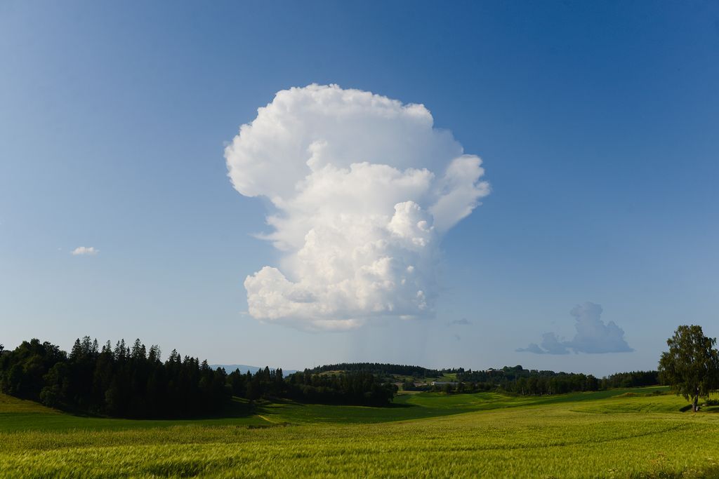 Stor sky som strekker seg oppover over eng og skog. Foto.