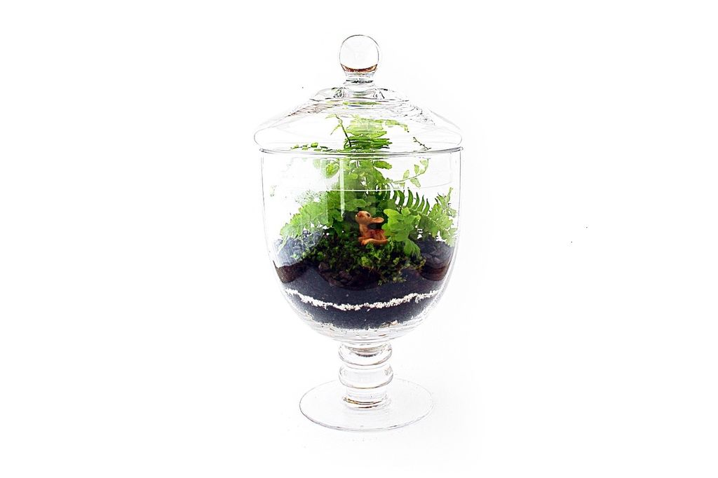 Planter i ein lukka glasvase. Foto.