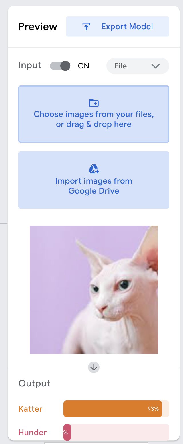 Skjermdump av ein boks med opplastingsfelt for bilete. Overskrifta på boksen er "Preview". Det er lasta opp eit bilete av ein katt utan pels. Under er det eit liggande stolpediagram som viser kor sannsynleg det er at biletet er av ein katt eller ein hund. Diagrammet viser at det er 93 prosent sannsynleg at biletet er av ein katt. Skjermutklipp.