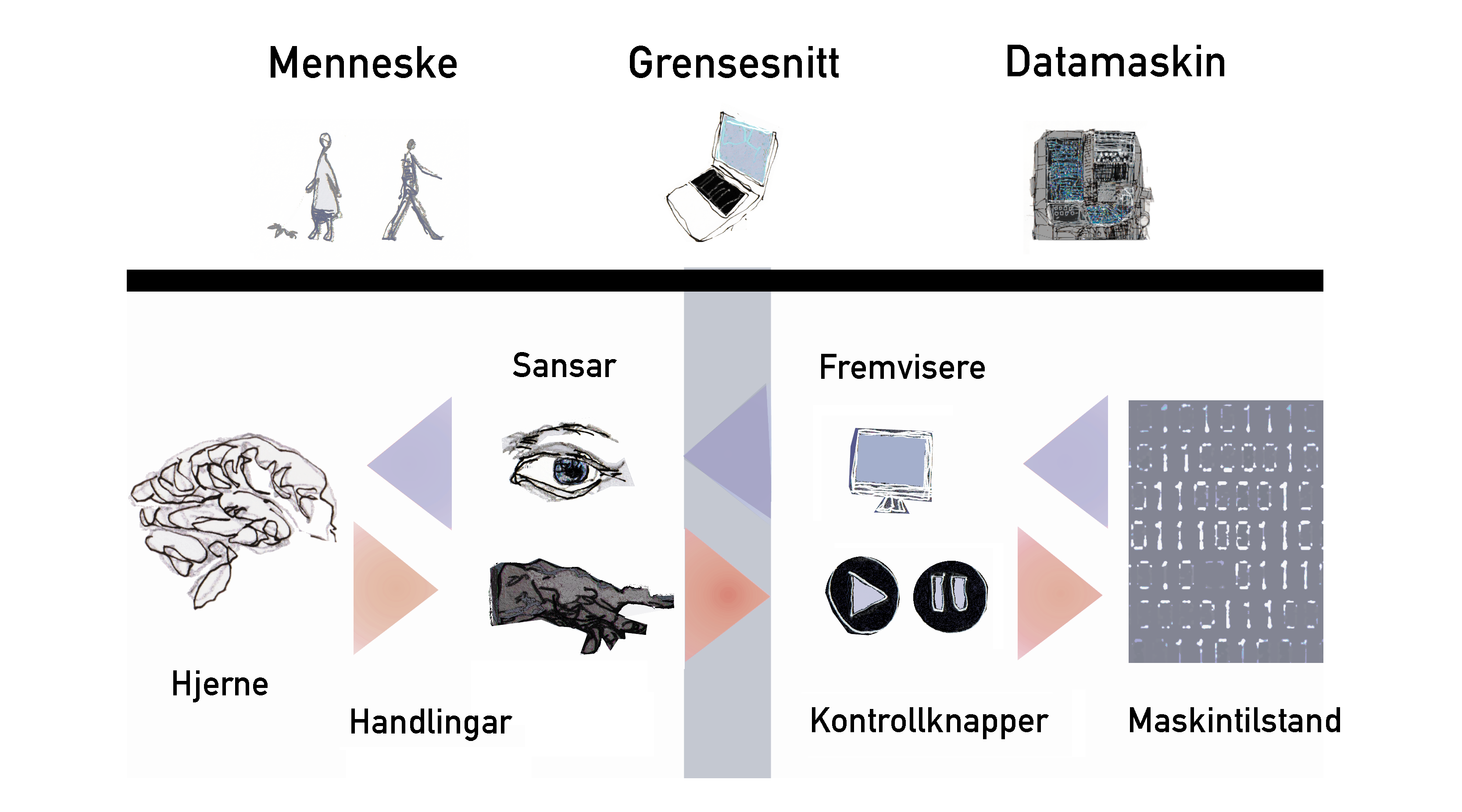 Illustrasjon som viser korleis sanseinntrykk blir oppfatta i hjernen og fører til handlingar. Ei pil går frå eit auge til ein hjerne. Ei anna pil går frå hjernen til ei hand. Illustrasjon.