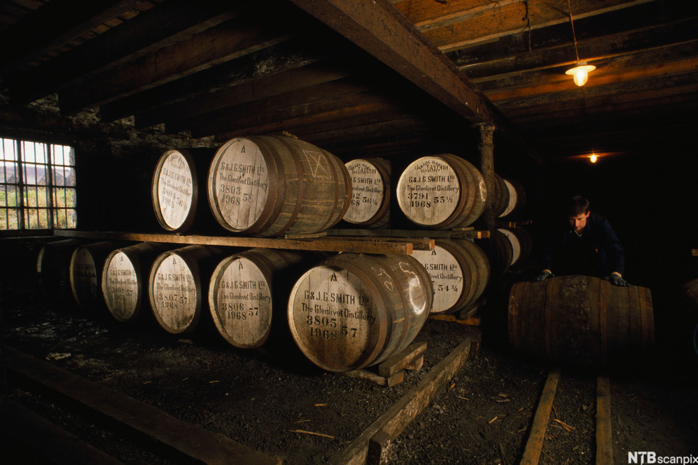 Whiskytønner på lager. Foto.