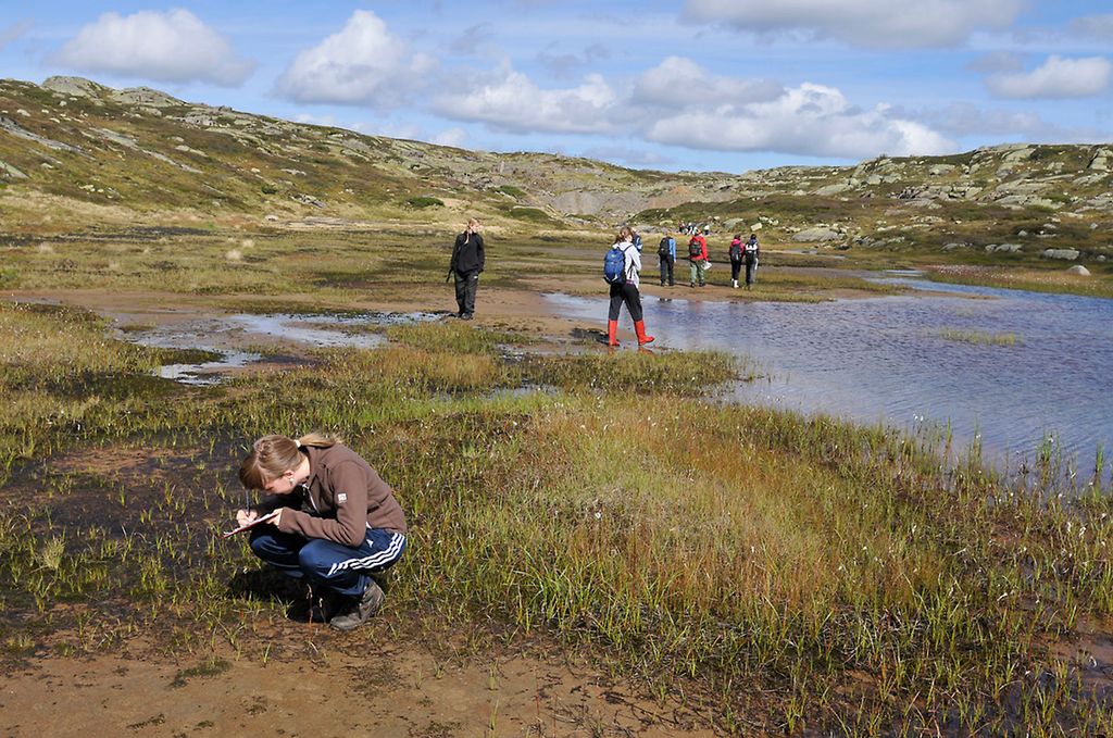 Ungdommer gjør undersøkelser ved vann i fjellandskap. Foto.