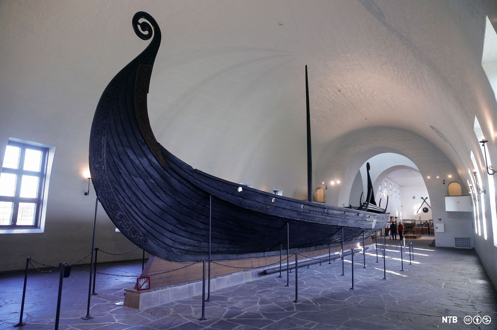 Vikingskip i mørkt tre utstilt i en hall med hvite vegger og buet tak. Forstavnen på skipet er dekorert med treskjæringer og ender opp i en kveil. Foto. 