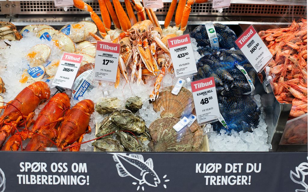 En kjøledisk med forskjellige typer skalldyr, skjell og fisk på is. Foto.