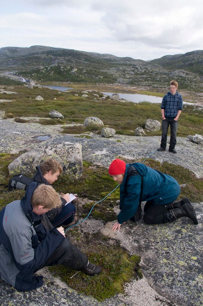 Elever gjør undersøkelser i fjellet. De sitter og står langs et tynt, blått tau som er strekt over et område. En av dem noterer på en blokk. Foto