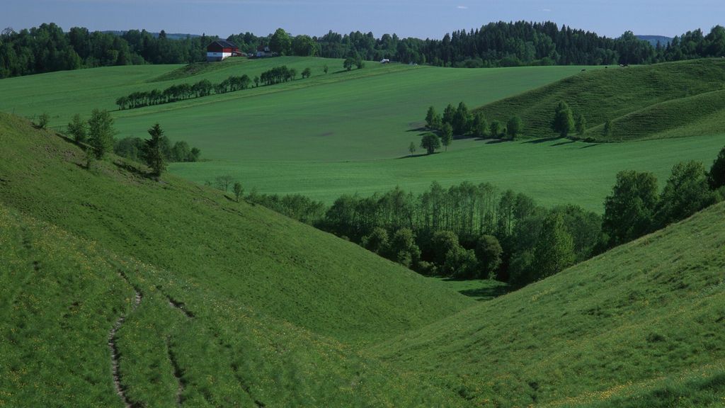 Eit grønt bakkete beiteområde med spreidde klynger av tre. Det er ein klar kveld med blå himmel. Ein gard i bakgrunnen. Foto.