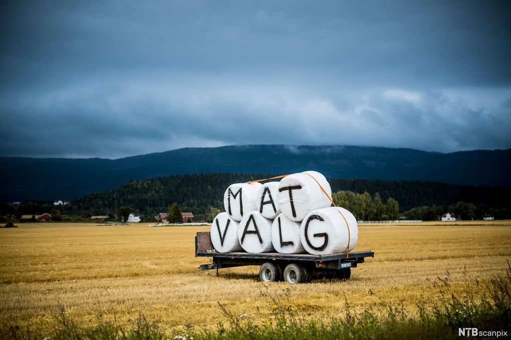 Rundballer som ligger på en tilhenger. Det står "matvalg" på ballene. Foto. 
