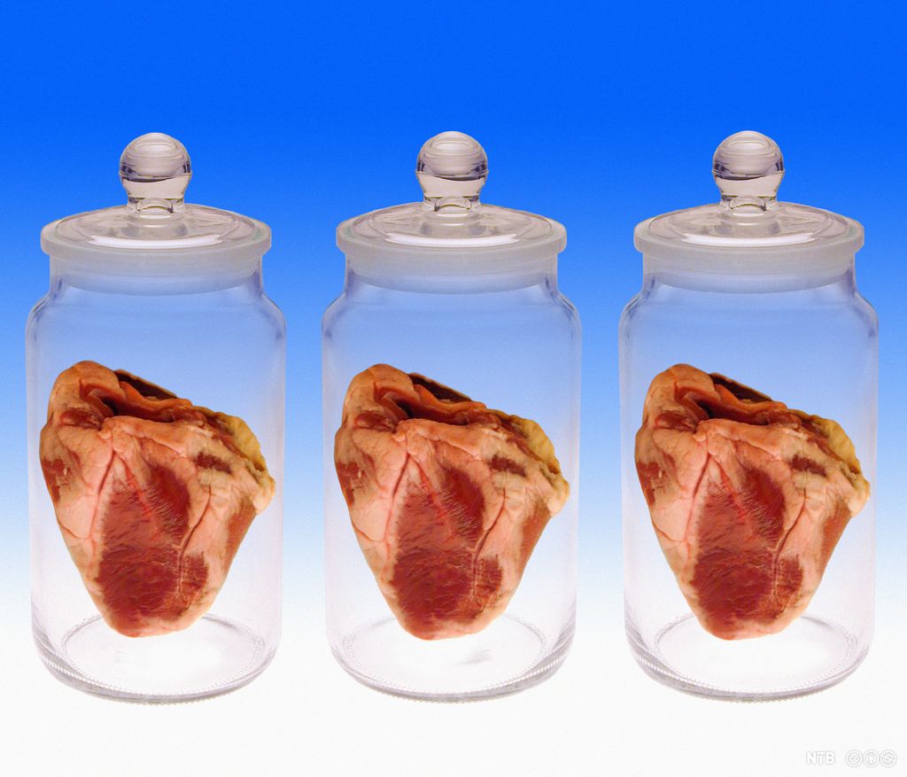 Olbmováimmut lásiin main lea lohkki. Illustrašuvdna.