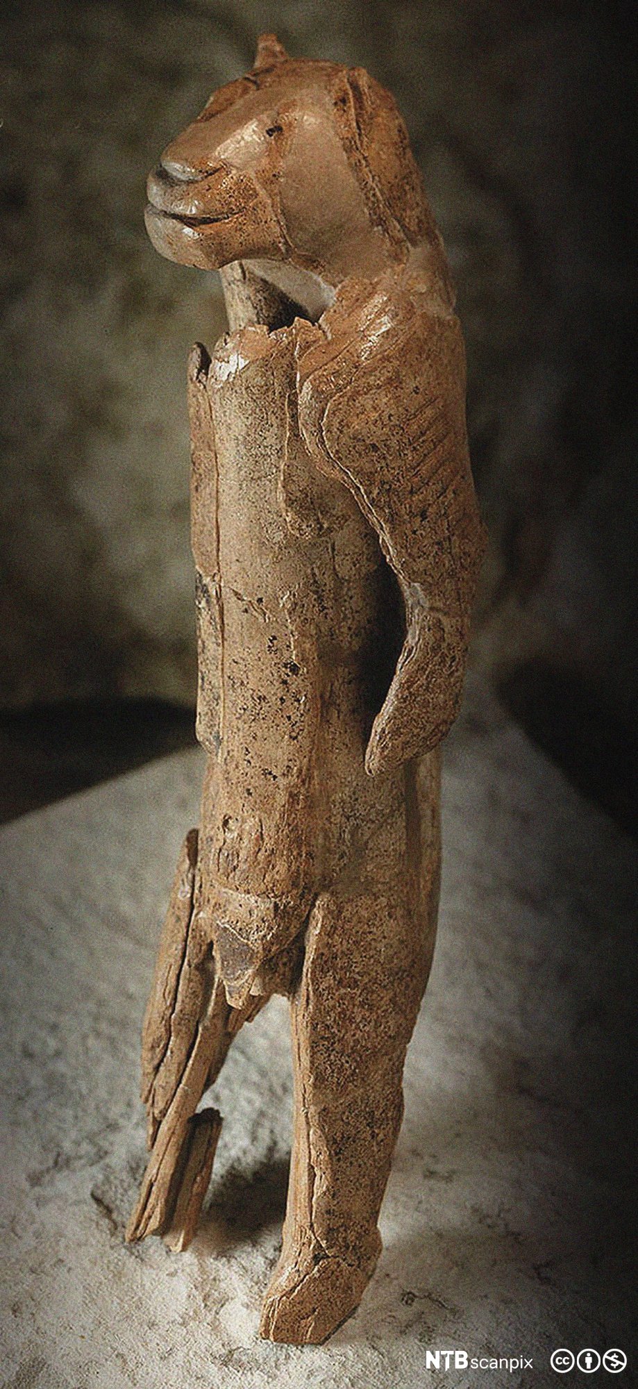 Figur med løvehode og menneskekropp. Foto,