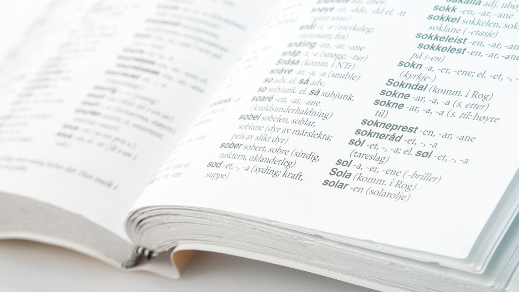 Oppslag i bokmålsordbok. Foto. 