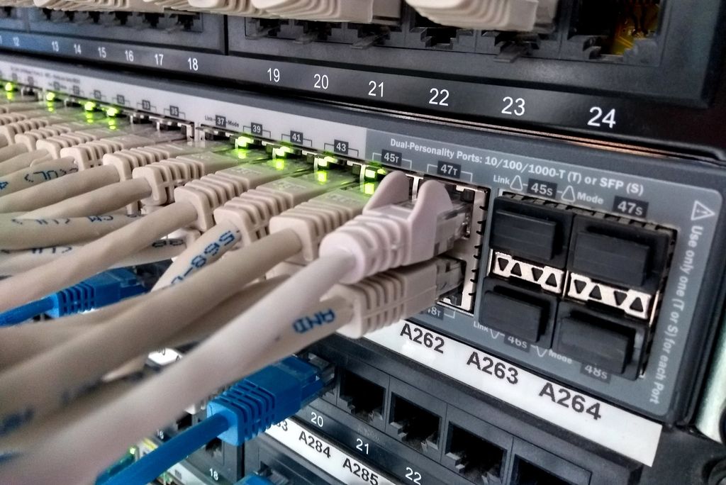 Nettverkskabler koblet til en rack-montert svitsj. Foto.
