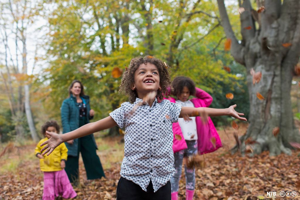 En gutt strekker ut hendene etter løv som faller fra trærne. I bakgrunnen står to andre barn og en voksen. Foto.