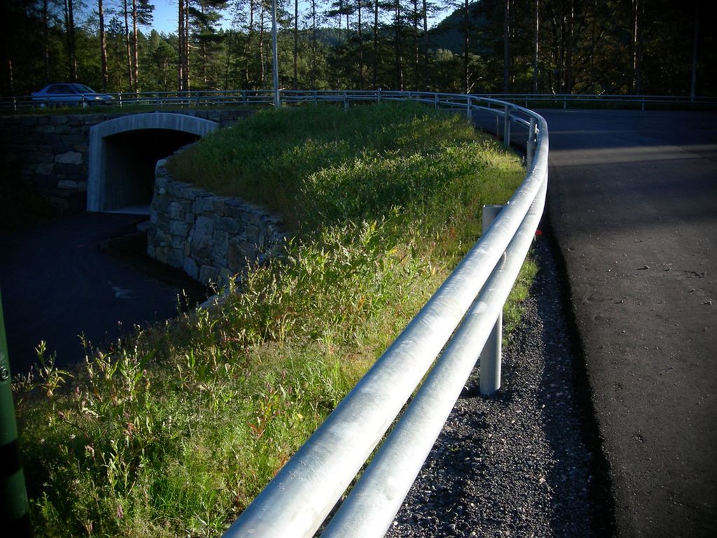Nyanlagt veikant. Foto.