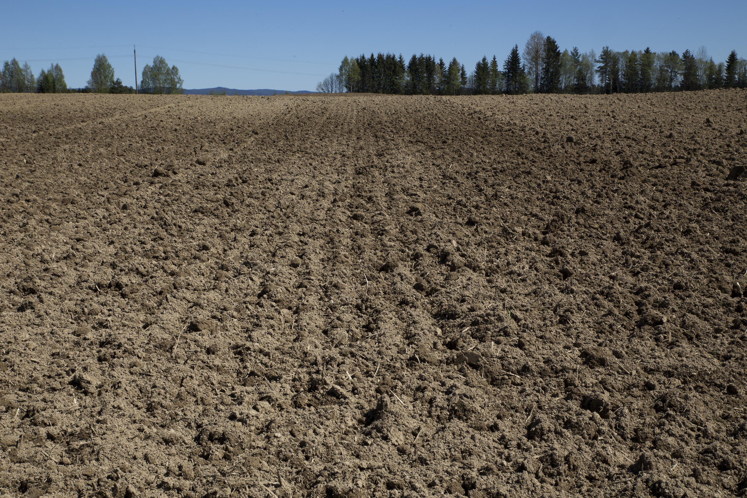 Harvet åker med kun jord og mold uten plantevekst. Foto.