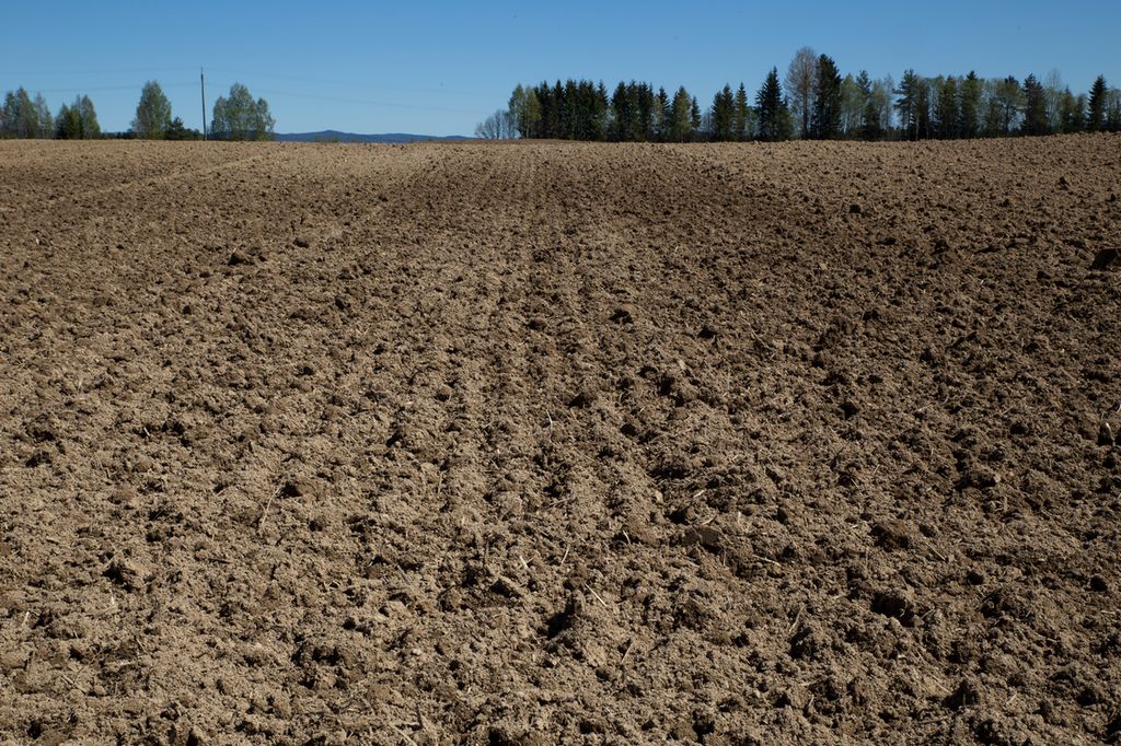 Harvet åker med kun jord og mold uten plantevekst. Foto.
