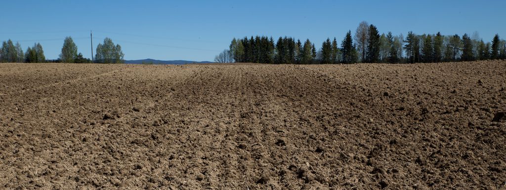 Harvet åker med kun jord og mold uten plantevekst. Foto.