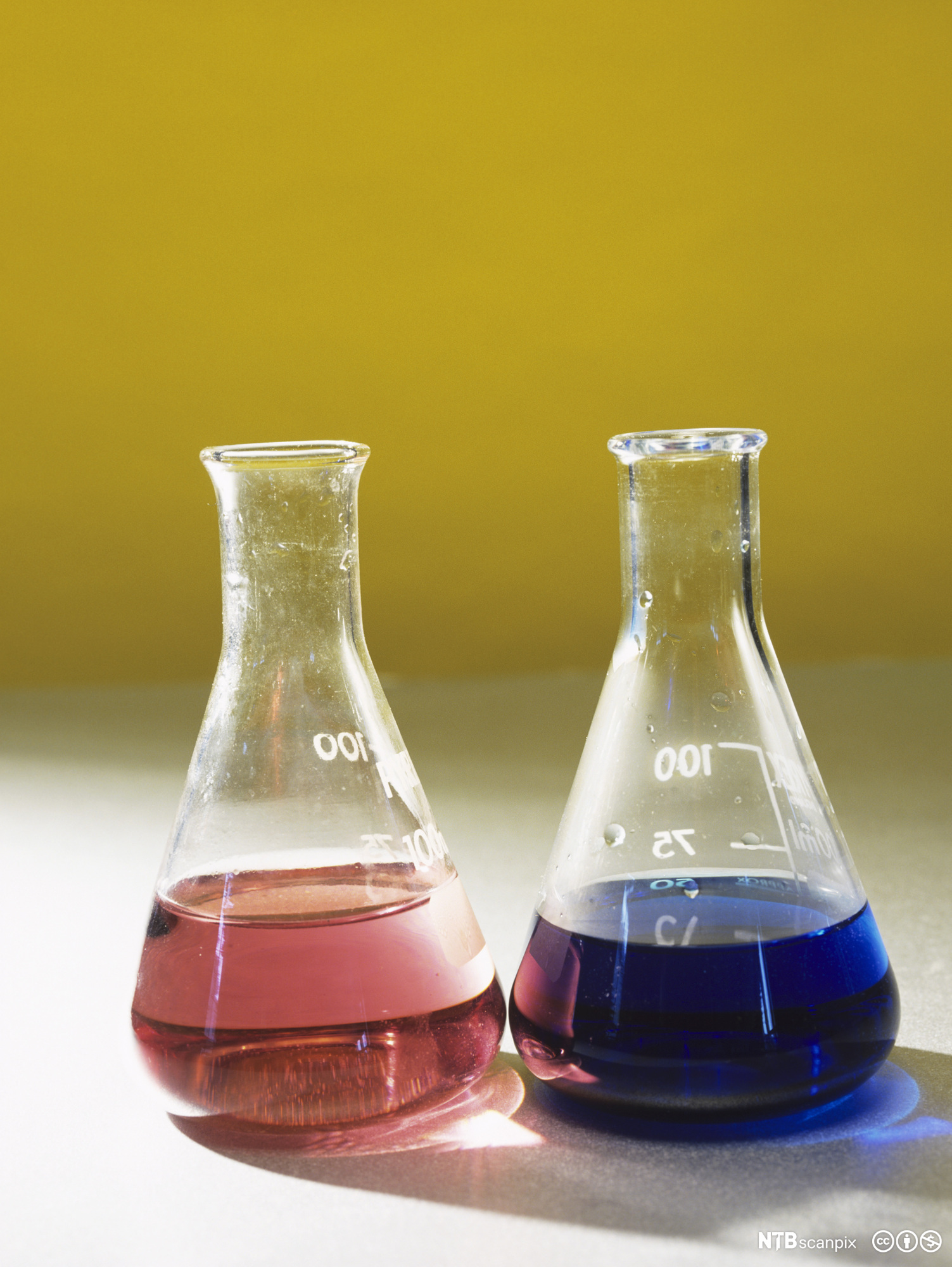 Kolber med rosa og blå væsker. Foto.