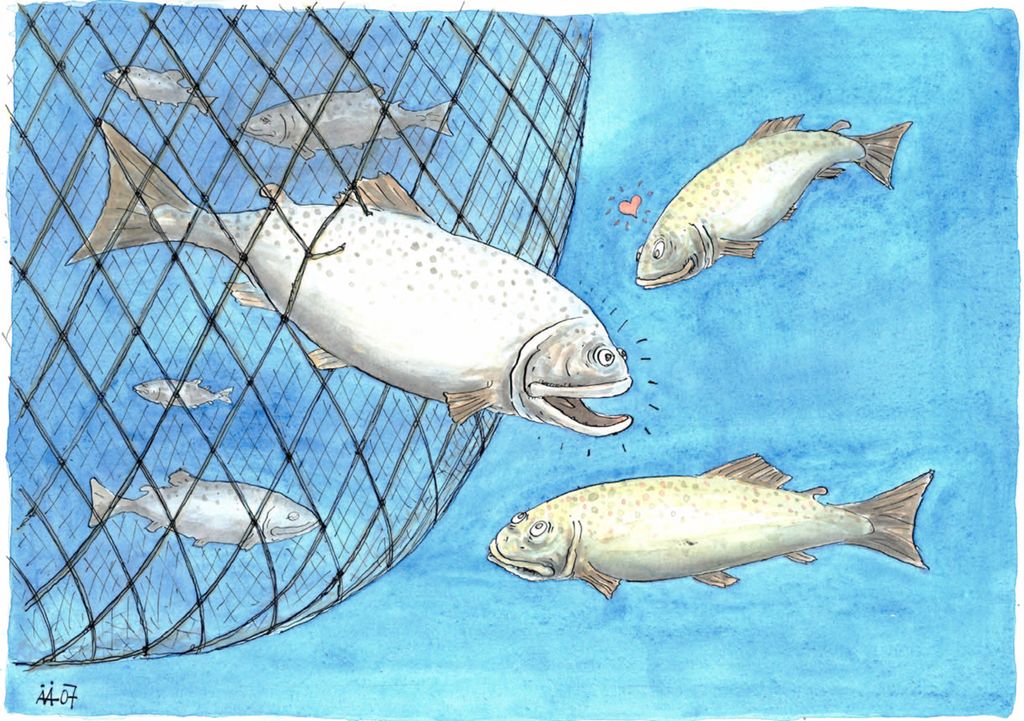 En fisk på vei ut av æra. Tegning.