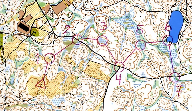 Orienteringskart med inntegnet løype. Kart.