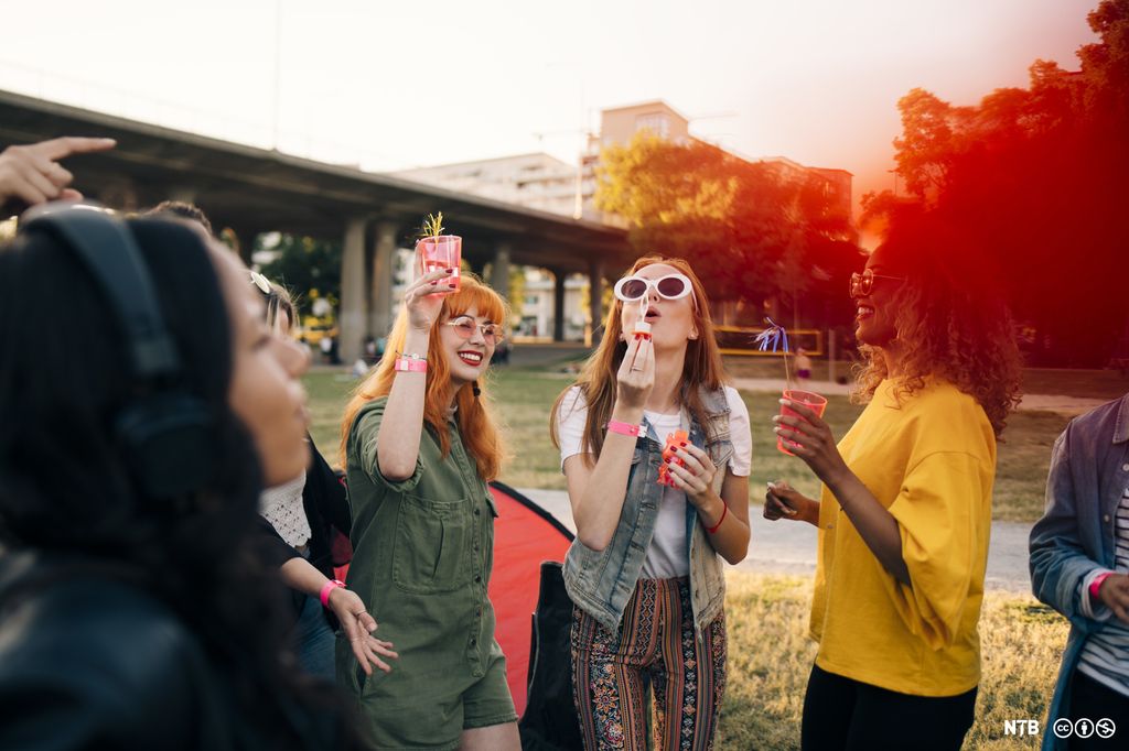 Foto av ungdommer på musikkfestival.