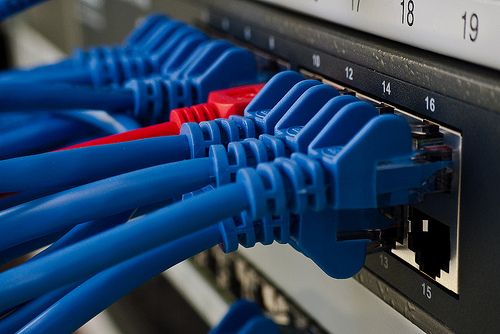 Nettverkskablar monterte i ein svitsj. Foto.