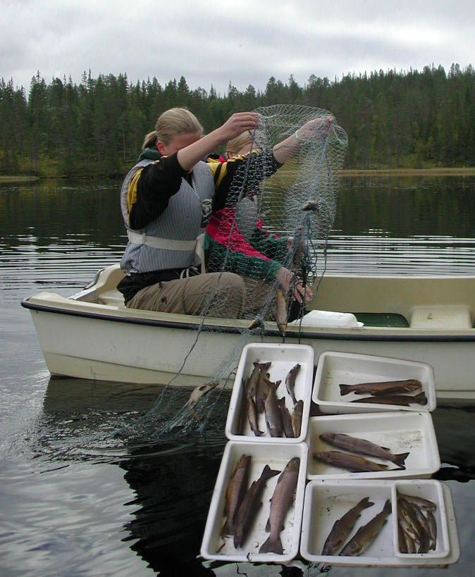 To elever sitter i båt og holder opp et fiskegarn med fisk. Foto.