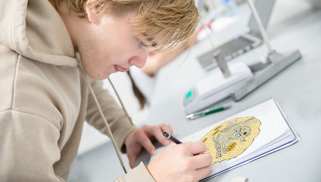 Bárdni sárgu sealla iežas čállingirjái. Govva. 