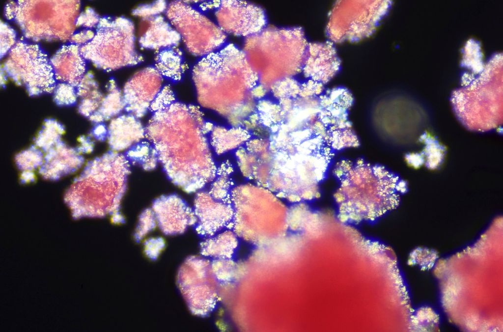 Røde partikler på svart bakgrunn. Foto.