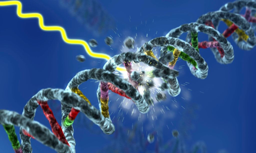 Tevdnet mas suonjardeapmi billista DNA-streaŋgga. Illustrašuvdna.
