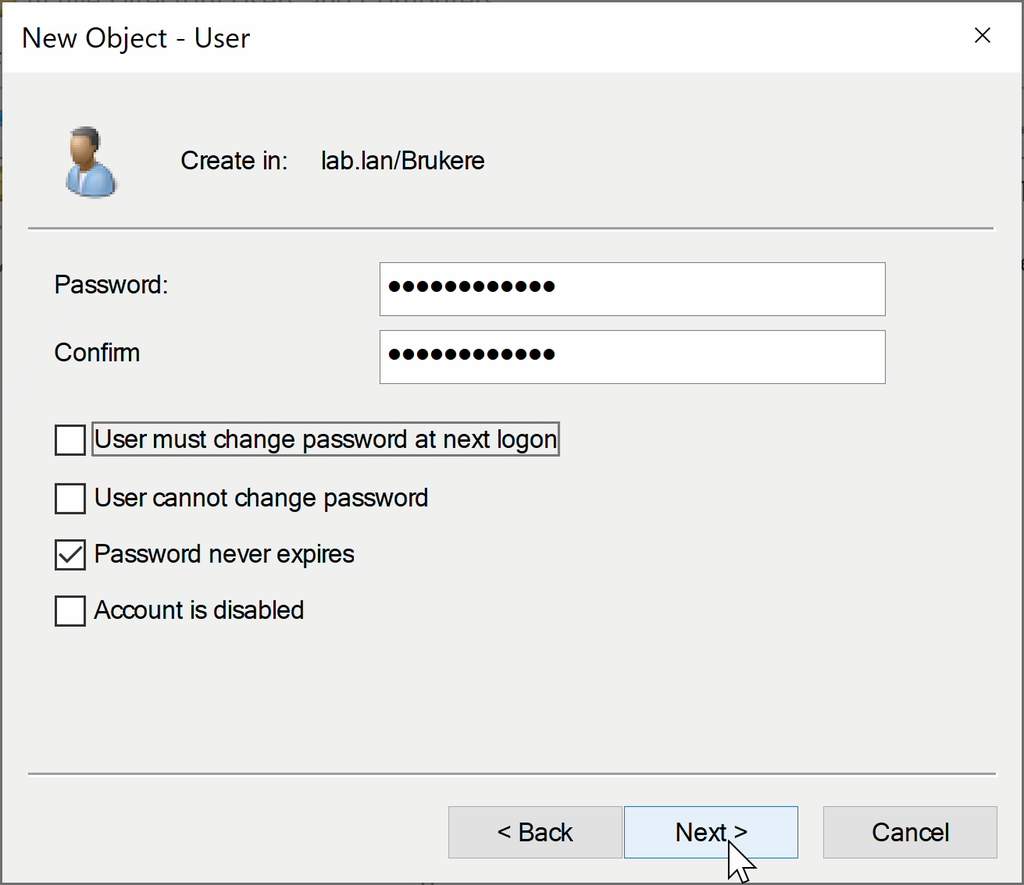 Skjermvindu med tittelen "New Object – User". Feltene for passord og bekreftelse av passord er fylt ut. Funksjonene "User must change password at next logon" og "User cannot change password" er deaktivert. Funksjonen "Password never expires" er aktivert. Musepekeren ligger over "Next"-knappen. Skjermbilde.