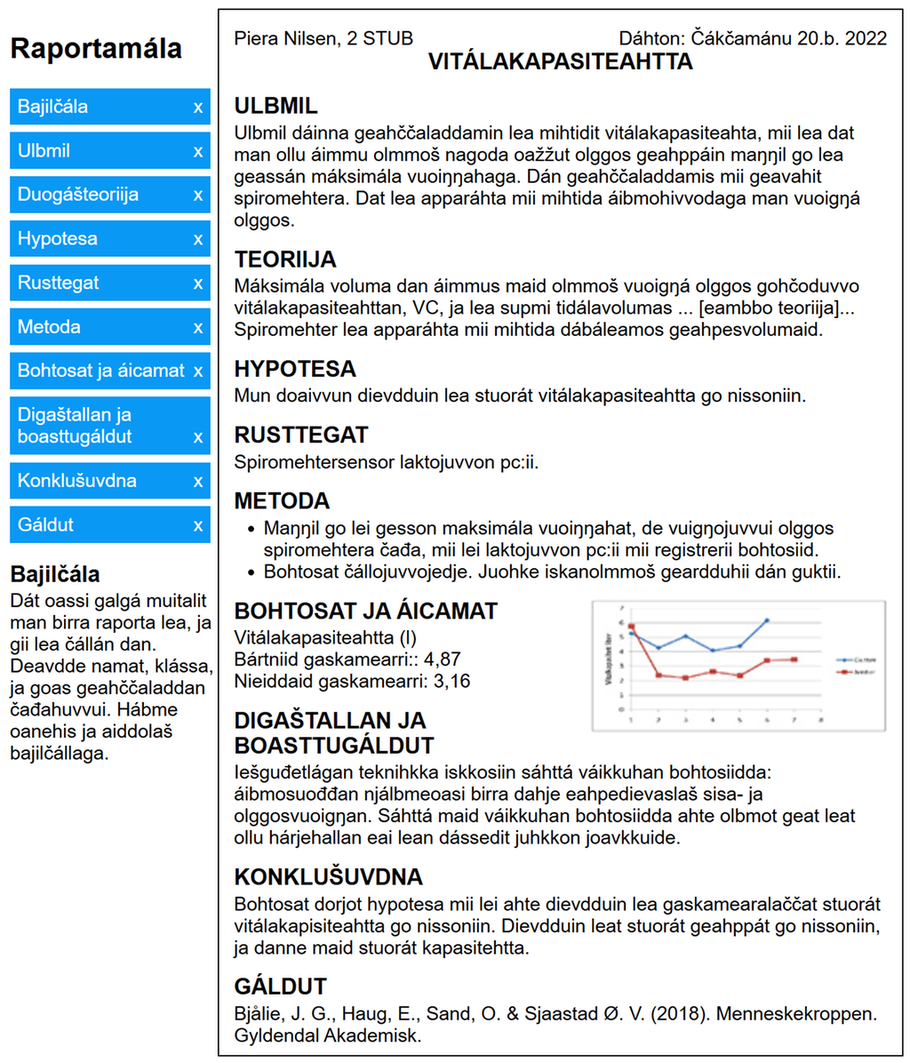 Raportamála šearbmagovva čájeha raportta ovdamearkka. Illustrašuvdna.