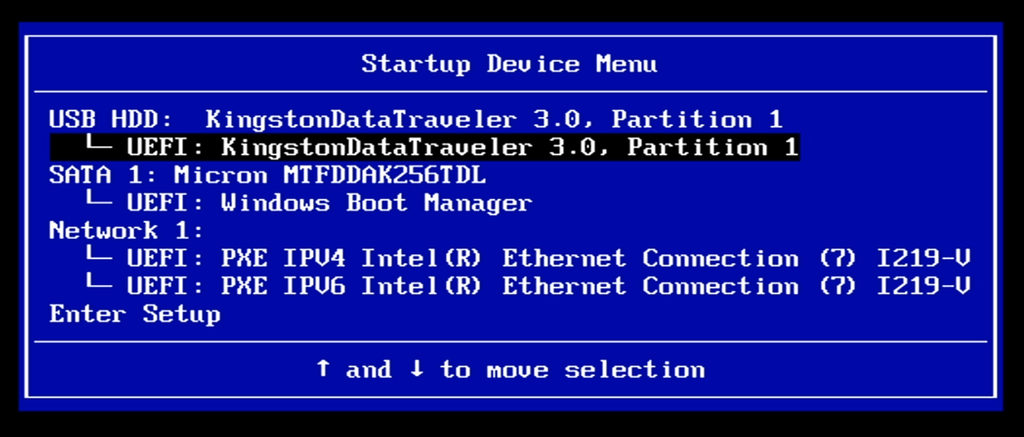 Meny med liste over enheter som maskinen kan starte opp fra. Enheten merket «USB HDD - UEFI: KingstonDataTravler» er markert. Skjermbilde 