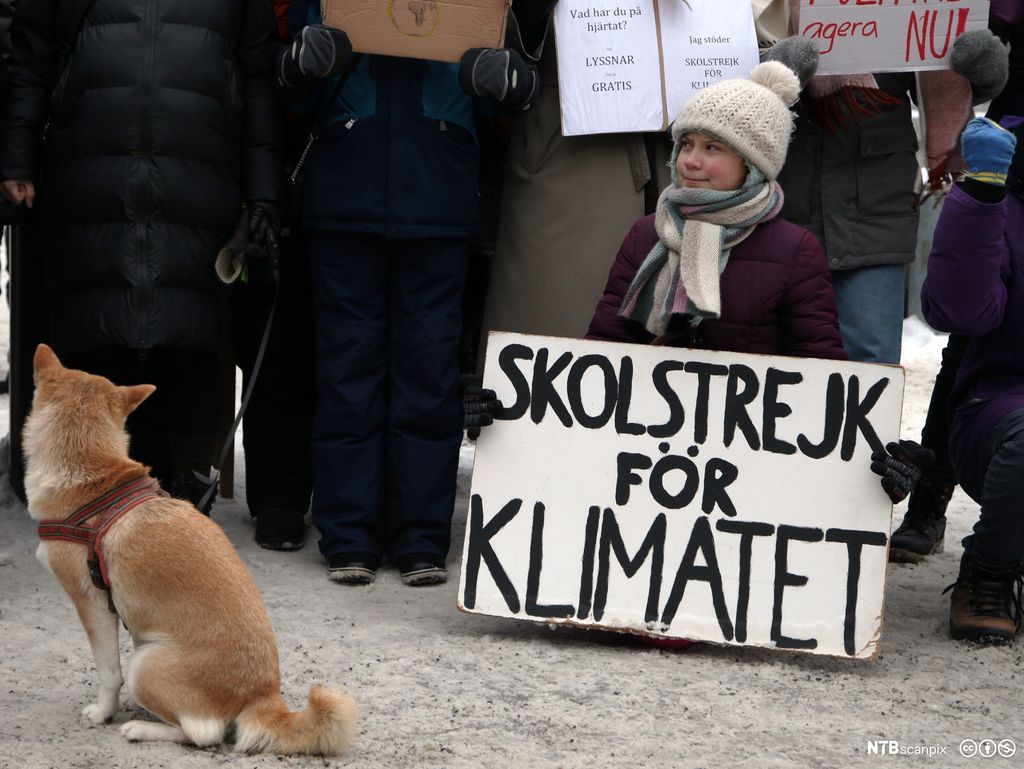 Greta Thunberg med plakat om at hun skolestreiker for klimaet. Foto. 