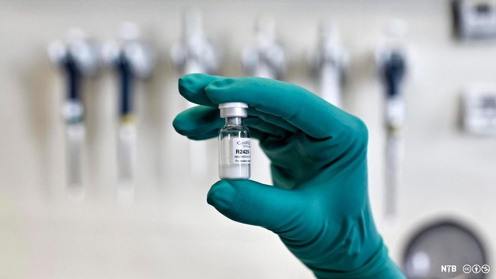 Hanske med laboratorieprøve av ny medisin eller vaksine. Foto. 