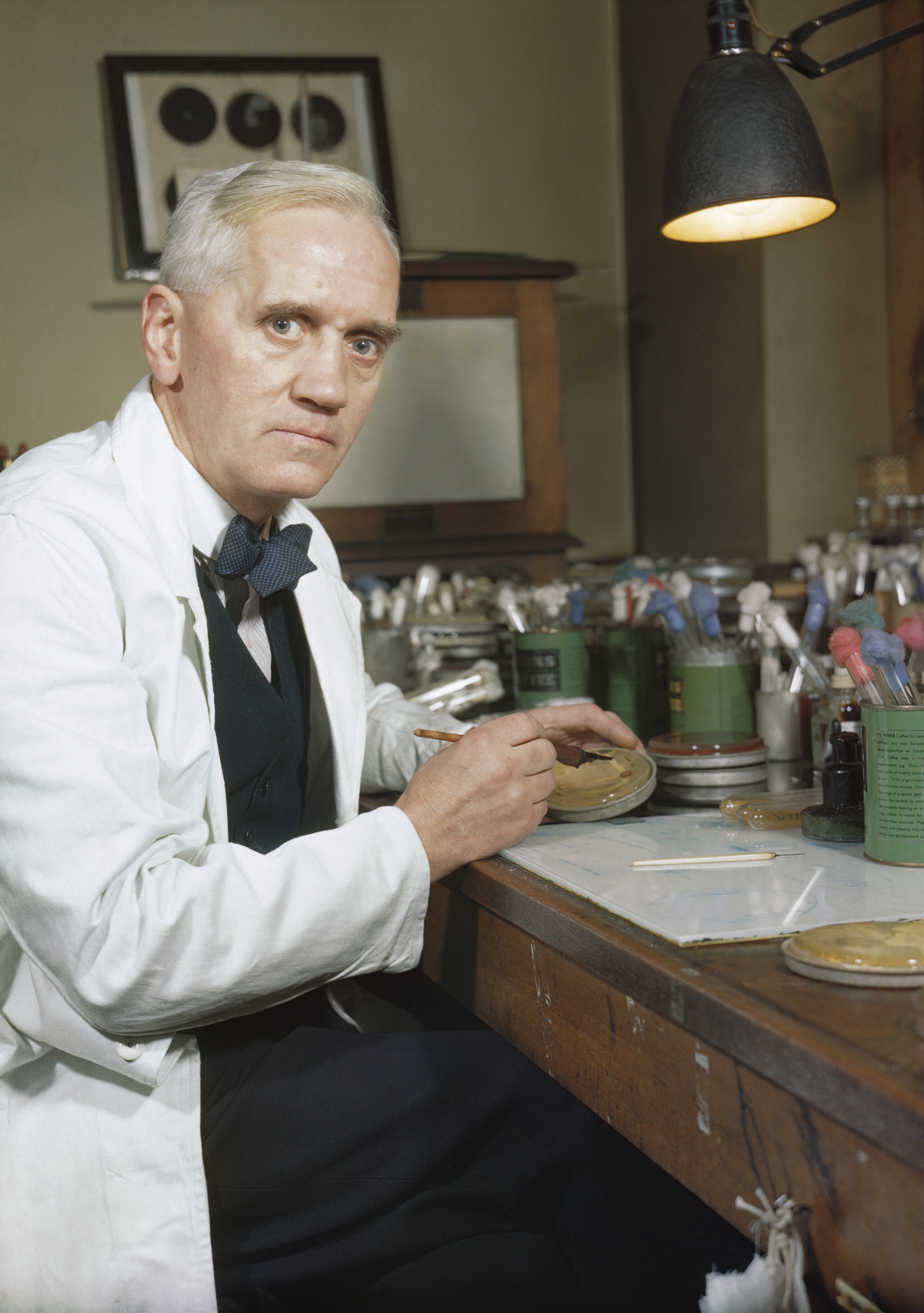 En eldre mann med hvit frakk sitter på et laboratorium og undersøker ei agarskål med penicillin. Foto.