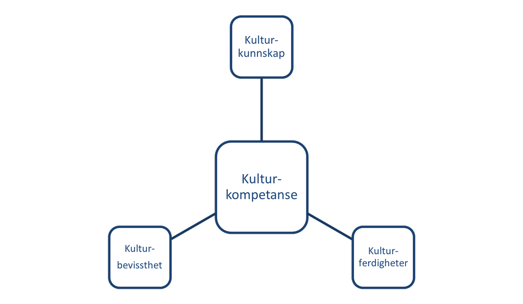 Tankekart der begrepet kulturkompetanse står i midten, omringet av begrepene kulturbevissthet, kulturferdigheter og kulturkunnskap. Illustrasjon.