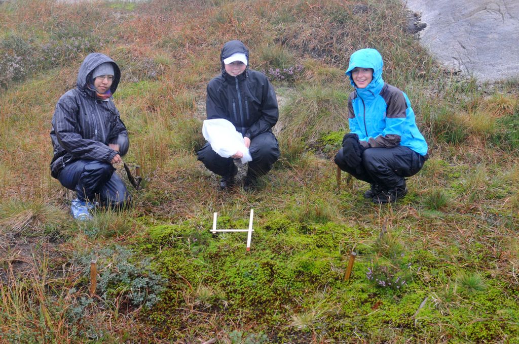 Tre ungdommer i regntøy undersøker feltrute. Foto.