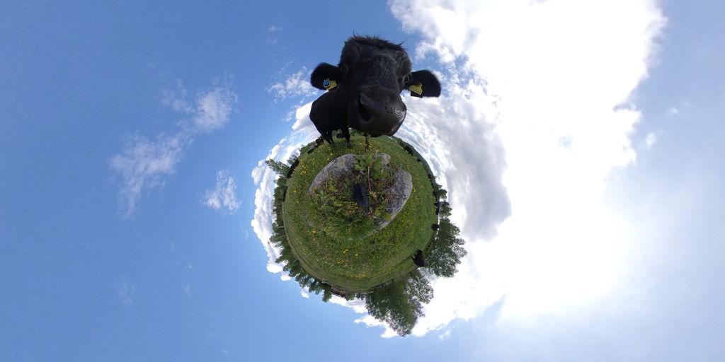 Storfe med personlighet står på en klode av natur. Illustrasjon.