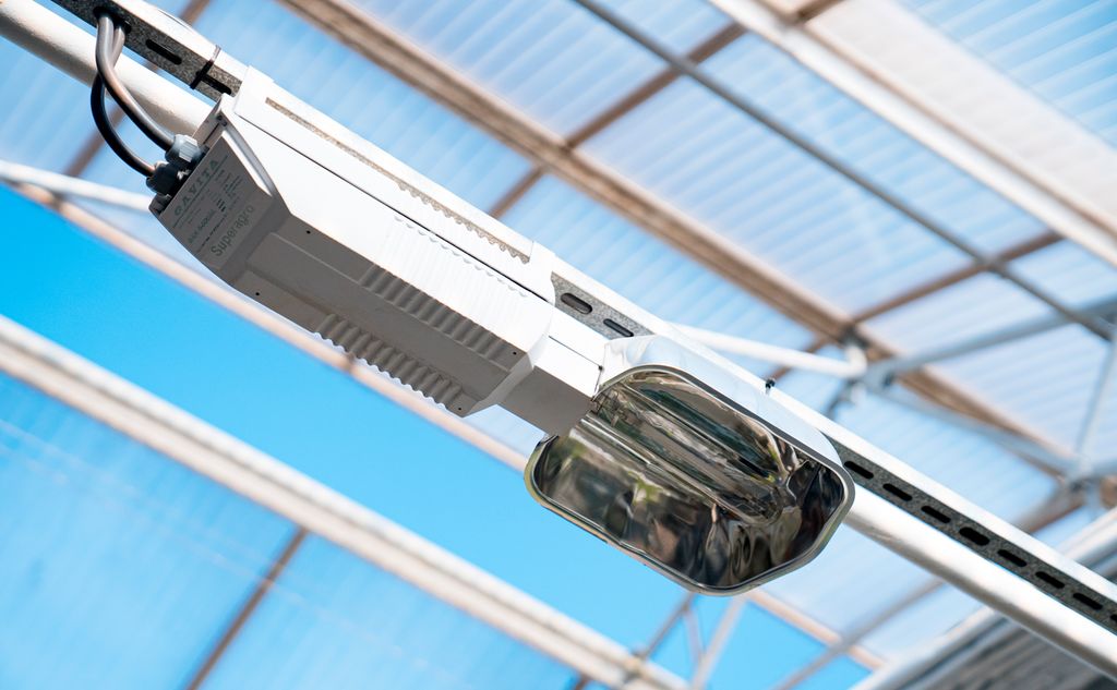 Taklampe i et veksthus. Foto.