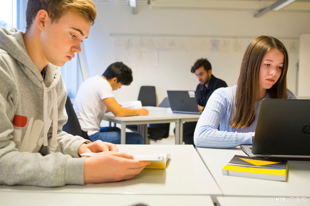 Fire elever sitter ved pulter og jobber med skolearbeid. To leser bøker, og to skriver på pc. Foto.