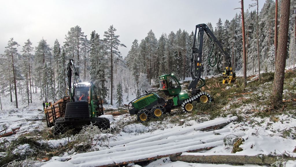 Hogstmaskin og lassbærer som hogger og kjører tømmer. Foto. 