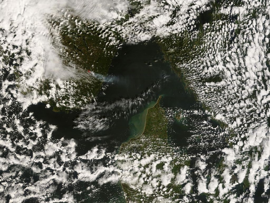 Satelittbilde av skogbrann. Foto.