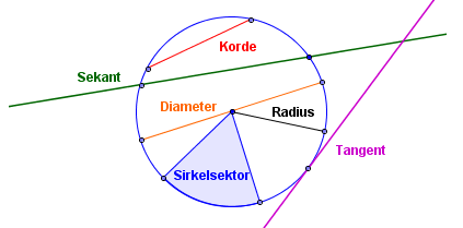 Sirkel med vinkler. Illustrasjon.