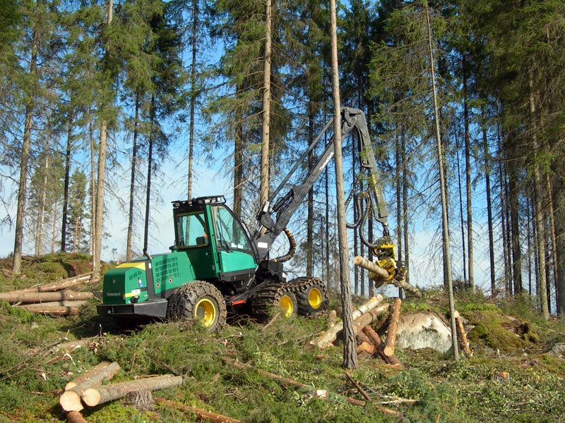 En moderne skogsmaskin med gripeklo løfter en kvistet tømmerstokk i skogen. Foto. 